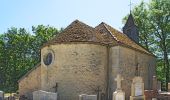 Excursión A pie Billy-lès-Chanceaux - Sentier de l’Abbaye d’Oigny - Photo 10