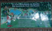 Randonnée Marche Libin - Sentier des Nutons - Smuid - Parc enchanté du Kaolin - Photo 13
