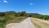 Trail Walking Le Triadou - tour triadou, st Jean de cuculles - Photo 3