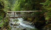 Tour Zu Fuß Irdning-Donnersbachtal - Klammrundweg - Photo 1