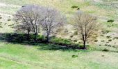 Tocht Stappen La Môle - SityTrail - SityTrail - la mole - Photo 5