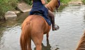 Trail Horseback riding Reherrey - Randonnée reherey Marion uccello - Photo 10