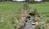 Tocht Stappen Saint-Hubert - ADEPS Saint Hubert - Photo 14