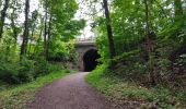 Trail Walking Viroflay - La Celle St Cloud depuis Viroflay - Photo 3