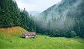 Percorso A piedi Sconosciuto - Moieciu de Sus - Șaua Batrâna - Hotel Peștera - Photo 9