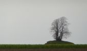 Tour Zu Fuß Gingelom - Zevenbronnenwandeling - Photo 5