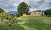 Tour Wandern Vinay - Château de la Blache - Photo 5