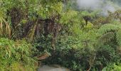 Randonnée Marche Río Verde - Cascada del pailón del diablo - Photo 12