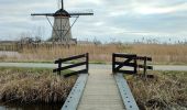 Randonnée Marche Molenlanden - Les moulins de Kinderdijk (8,6km)  - Photo 6