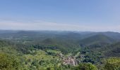 Randonnée Marche Lembach - Lembach Les 4 Châteaux - Photo 2