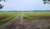 Excursión Senderismo Havelange - Porcheresse en condroz  180624 - Photo 8