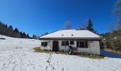 Trail Walking Gérardmer - Les Bas-Rupts - Les Hautes Vannes
[Par Les Lattes - 3]  - Photo 12