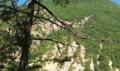 Trail Walking La Roche-des-Arnauds - SityTrail - Circuit de la combe du Duc - Photo 19