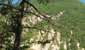 Excursión Senderismo La Roche-des-Arnauds - SityTrail - Circuit de la combe du Duc - Photo 19