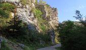 Randonnée V.T.T. Aspres-sur-Buëch - Gorges de l'Agnielle - Photo 3