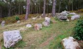 Tour Wandern Crozon - Pointe de Morgat - Cap de la Chèvre Boucle GR34 - 19.7km 500m 6h00 - 2019 09 13 - Photo 7