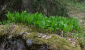 Percorso A piedi Joutsa - Mäyränkierros - Photo 1