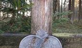 Tocht Te voet Stavelot - 17. Le Ru de Targnon - Photo 10