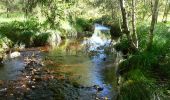 Trail Walking Malmedy - Les fagnes en été - Photo 4