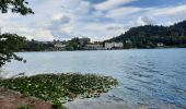 Trail Walking Bled - bled - tour du lac - Photo 16