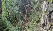 Trail Walking Le Valtin - VOSGES 2023 - Col de la Schlucht - Les Rochers de Hirschteine - Photo 16