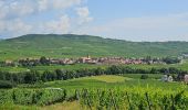 Tocht Stappen Kaysersberg-Vignoble - Du ⛺️ aux 4 villages - Photo 8