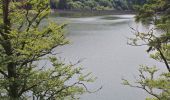 Trail Walking Metzeral - lac de schiessrothried par vallée de la wormsa  - Photo 12