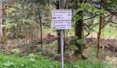 Tocht  Gérardmer - Bourrique, tour et cascade de Merelle - Photo 13