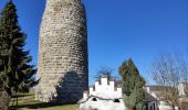 Tour Zu Fuß Altmannstein - Altmannstein Rundweg 3 - Photo 4