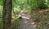 Excursión Senderismo Saint-Sulpice-de-Favières - Saint-Sulpice-de-Favières - Photo 10