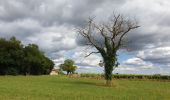 Tour Wandern Hiersac - hiersac - Photo 1