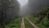 Trail Trail Arfons - ballade cool post champignons 😋 - Photo 3