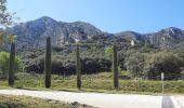 Trail Walking Saint-Rémy-de-Provence - CR_Domitia_BB_24_St-Remy-Provence_Orgon_20220405 - Photo 10