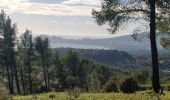 Trail Walking La Cadière-d'Azur - Télégraphe par la Louisiane  - Photo 2