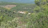 Trail Walking Le Val - le cuit le val - Photo 4