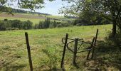 Randonnée Marche Ferrières - xhoris-Lognards-Bati-Chapelle St Hubert - Photo 2