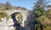 Excursión Senderismo Trigance - LE pont du Sautet,de Carajuan et le belvédère des vautours - Photo 7