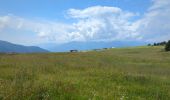 Randonnée Marche Lüsen - Luson - Lüsner Alm - Rastnerhütte - Photo 11