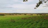 Tour Wandern Beauraing - Balade de Pondrôme à Revogne - Photo 3