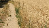 Trail Walking Les Bordes - les bordes - Photo 2