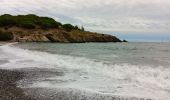 Tocht Stappen Port-Vendres - anse des paulliles - cap bear via les vignes retour par le chemin côtier - Photo 1