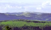 Trail On foot Sandberg - Rhön Rundweg 3 - Photo 2