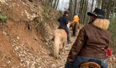 Tocht Paardrijden Gresswiller - Cva 18 février 24 Tivio  - Photo 3