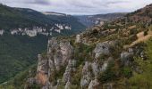 Tocht Stappen Hures-la-Parade - GR6 jour 11 Meyrueis - Photo 2