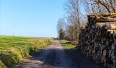 Percorso Marcia Houyet - Promenade vers les Aiguilles De Chaleux  - Photo 7