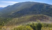 Tocht Stappen La Bastide - LA BASTIDE - DU BROUIS A L'ARTUBY - Photo 20