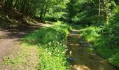 Trail Walking Meix-devant-Virton - Gerouville 060723 - Photo 13