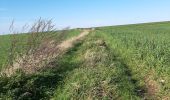 Excursión Senderismo Pont-à-Celles - Buzet - Rosseignies - Obaix - Buzet - Photo 8