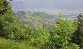 Tocht Stappen Autrans-Méaudre en Vercors - La grande Breche - Photo 12