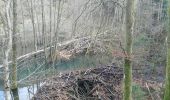 Trail Walking La Roche-en-Ardenne - Laroche 4 - Photo 2